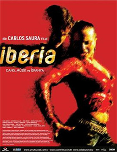 王妃今天休夫了吗